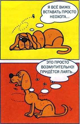 Что делать, если... Что делать, если...