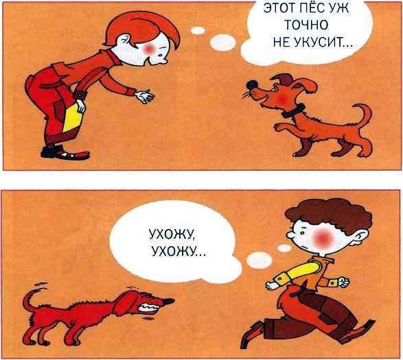 Что делать, если... Что делать, если...
