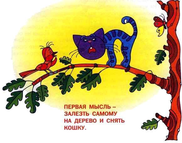 Что делать, если... Что делать, если...