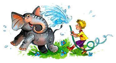 Дениска поливает водой из шланга слона