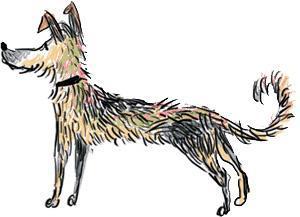 Чужое солнце (повесть) Чужое солнце