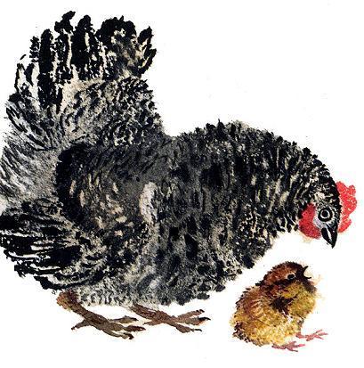 Курица Цыпленок