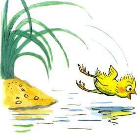 цыпленок прыгает в воду озеро реку