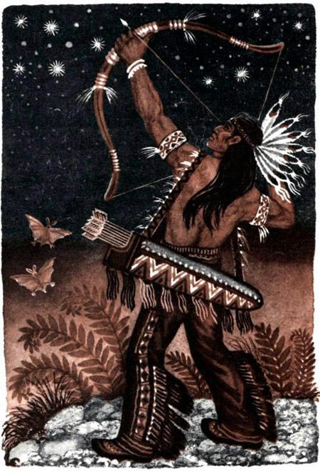 Цветок антилопы