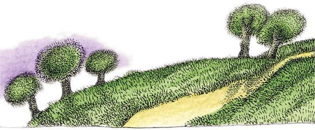 Цветок страстоцвет 12