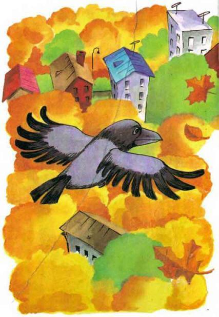 ворона над городом