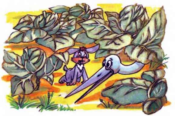 Кролик с капустного огорода 