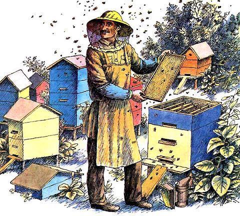 Дело в шляпе (рассказ) пчеловод улей
