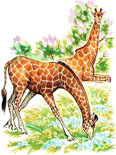 Детки в клетке - стихи жираф