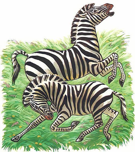 Детки в клетке - стихи зебры