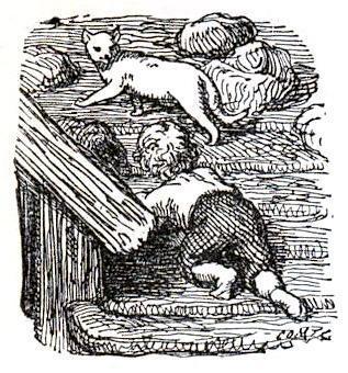 Дева льдов (сказка) мальчик и кот