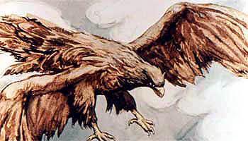 Девица с золотым гребнем (сказка) орел в полете