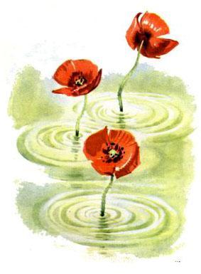 Дикие лебеди (сказка) Элиза и Дикие лебеди