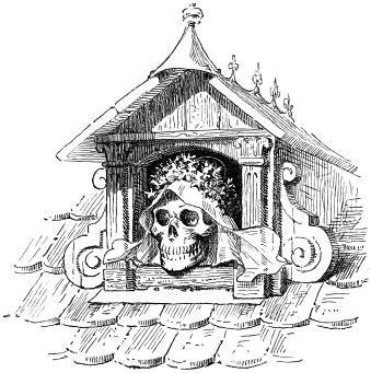 Диковинная птица