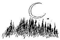 Дитя-невидимка: Весенняя песня (сказка) луна