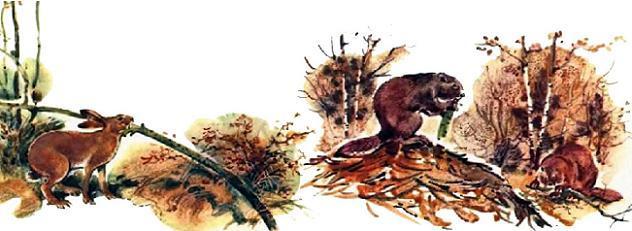 заяц и бобр грызут кору