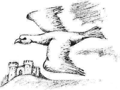 Дочь графа Мара 129