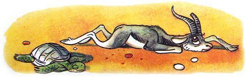 звери болеют