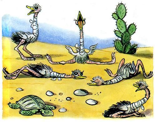 Доктор Айболит (стих-сказка Корнея Чуковского) доктор Айболит страусята