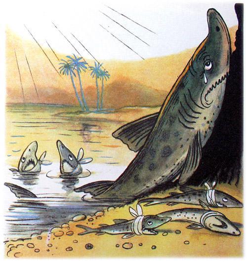 Доктор Айболит (стих-сказка Корнея Чуковского) доктор Айболит акула акулята боллеет боль