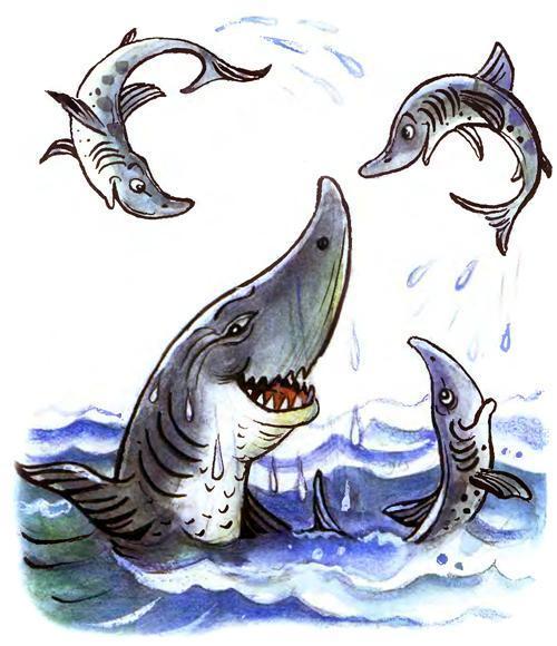 Доктор Айболит (стих-сказка Корнея Чуковского) доктор Айболит акулы здоровы радуются