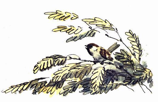 Воробей - часовой