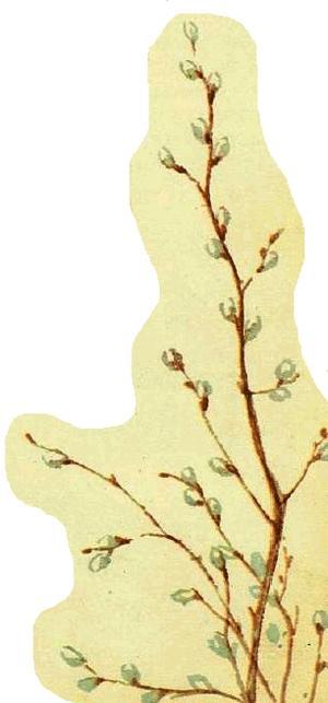 Домик на берёзе (рассказ) 10