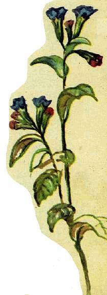 Домик на берёзе (рассказ) 19