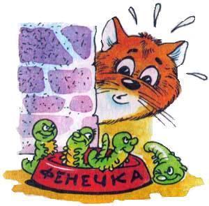 кот и его миска