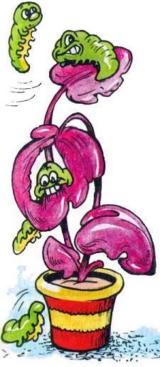 гусеницы едят цветок