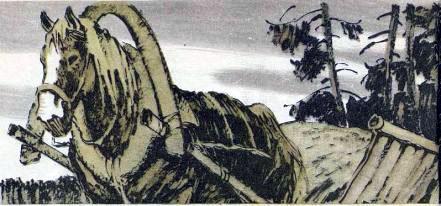 Дорога к дому