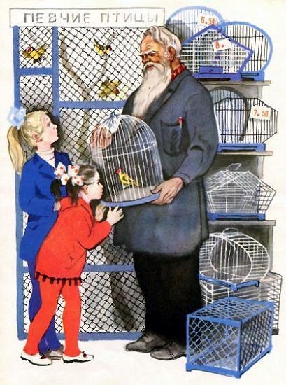 девочки выбирают птицу в зоомагазине