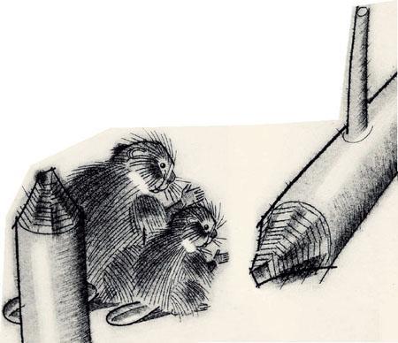 Дремучий медведь 17