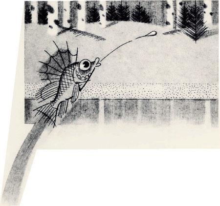 Дремучий медведь 19