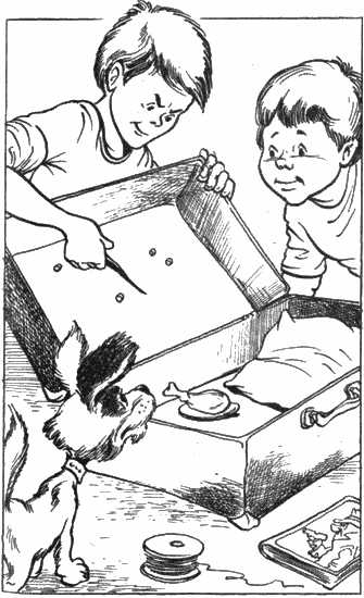 Дружок (рассказ) Дружок (рассказ)