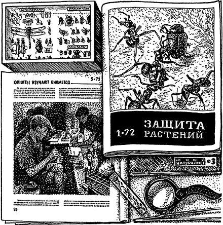 Друзья-насекомые - П. Мариковский  пчелы-осмии, погибшие от инсектицидов