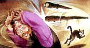 Два Ивана (сказка) Принес Иван-богатей суму домой, Как выскочат из сумы две дубинки сосновые, как начнут бить