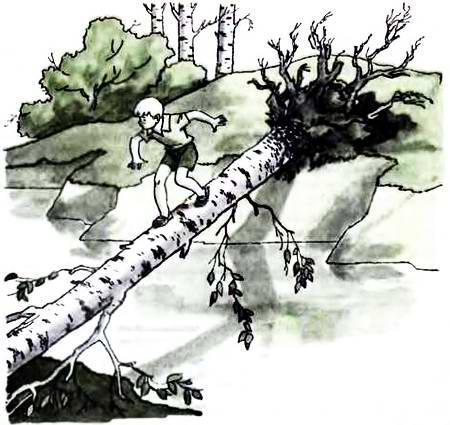 Двое на одном велосипеде (повесть) мпльчик переходит речку по дереву упавшему