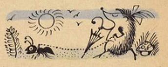 Ежиха-форсиха