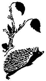 Ежовые рукавицы