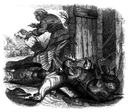 Фермер, собака и лисица (басня) Фермер, собака и лисица