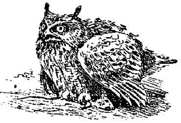 Филюша (рассказ) 005