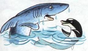 Сказка: Фонтан который умел плавать (иллюстрации: Сутеев В.) акула и дельфин