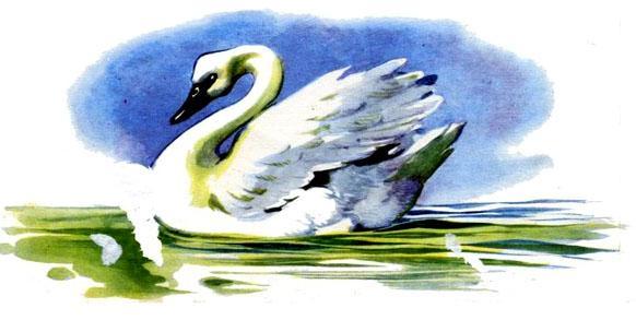 Сказка: Гадкий утенок лебедь