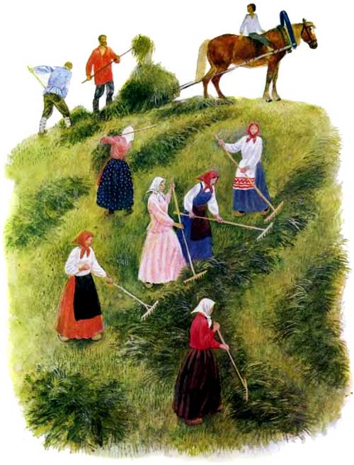 бабы и мужики убирают урожай