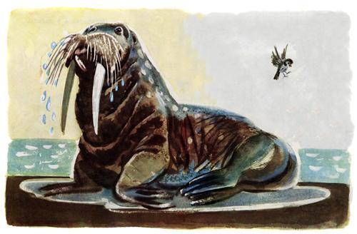 воробей и морж