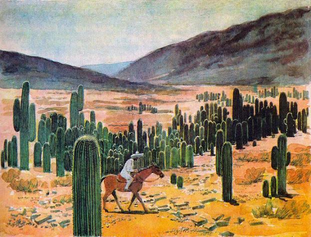 Где у растения дом КАКТУСЫ В ПУСТЫНЕ