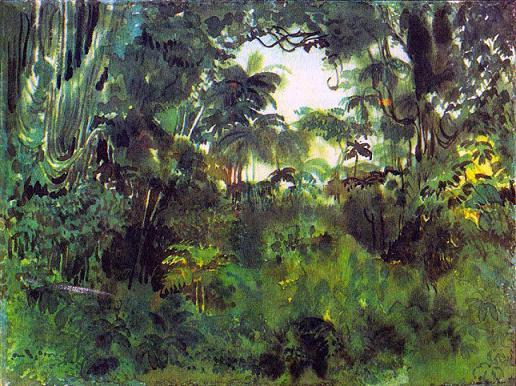 Где у растения дом тропический лес