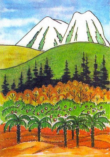 Где у растения дом Где у растения дом