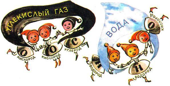 Где у растения дом углекислый газ и вода